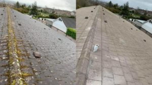 Cork Commercial Roof Cleaning