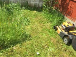 Garden Maintenance Cork